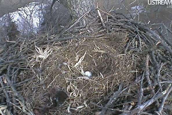 ScreenHunter_08 Feb. 20 15.02.jpg